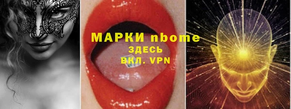 гидропоника Гусиноозёрск