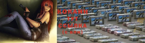 гидропоника Гусиноозёрск