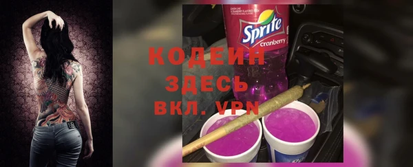 спайс Гусев
