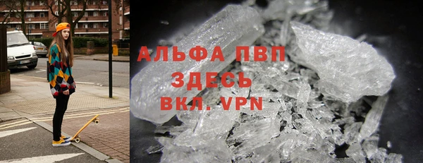 спайс Гусев