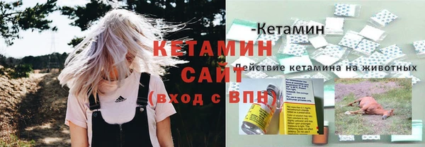 сатива Гусь-Хрустальный