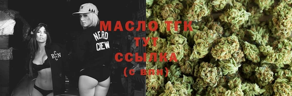 гидропоника Гусиноозёрск