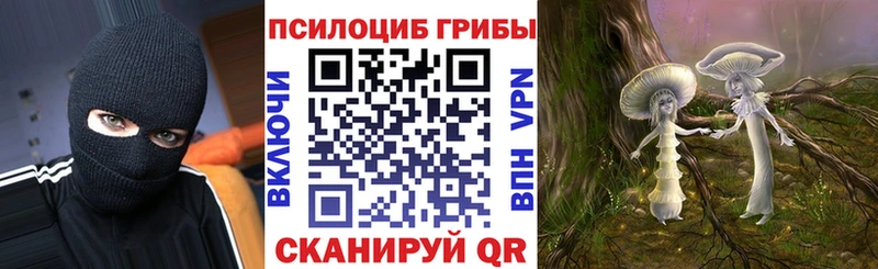 Галлюциногенные грибы Psilocybe  Первомайск 
